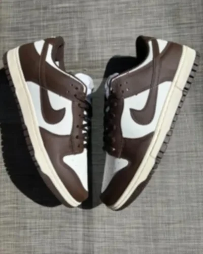 DUNK SB PRO | MARRON