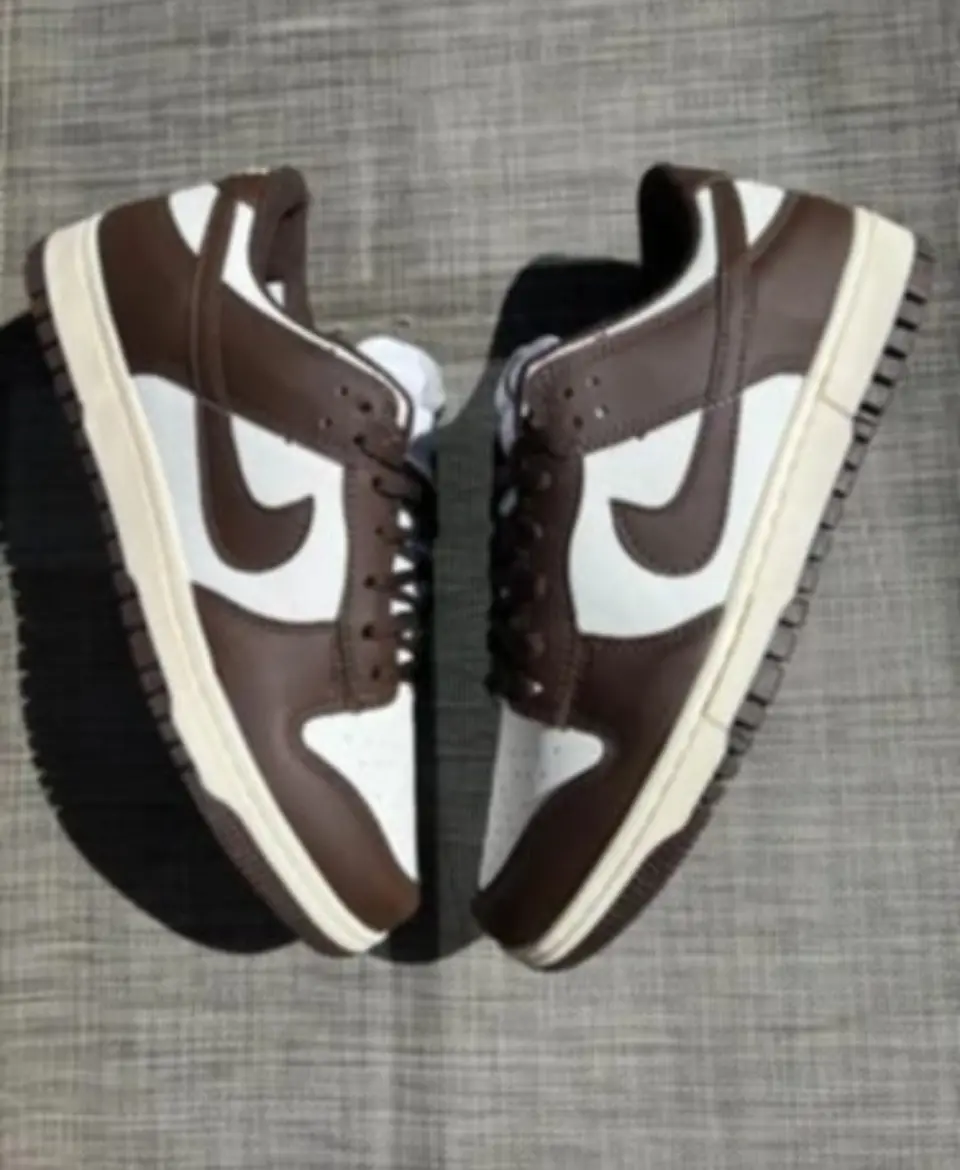 NIKE DUNK SB PRO | MARRON